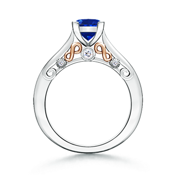 AAAA - Blue Sapphire / 1.09 CT / 14 KT White Gold