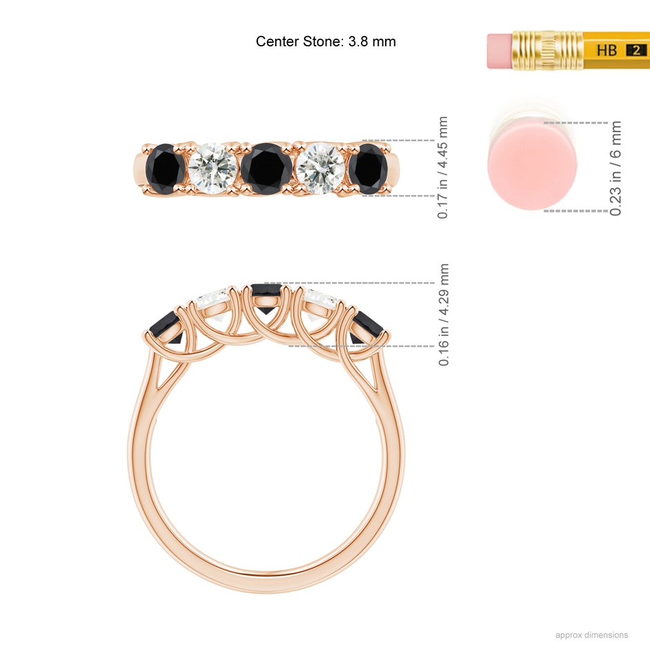 3.8mm AA Half Eternity Five Stone Black and White Diamond Wedding Band in Rose Gold ruler