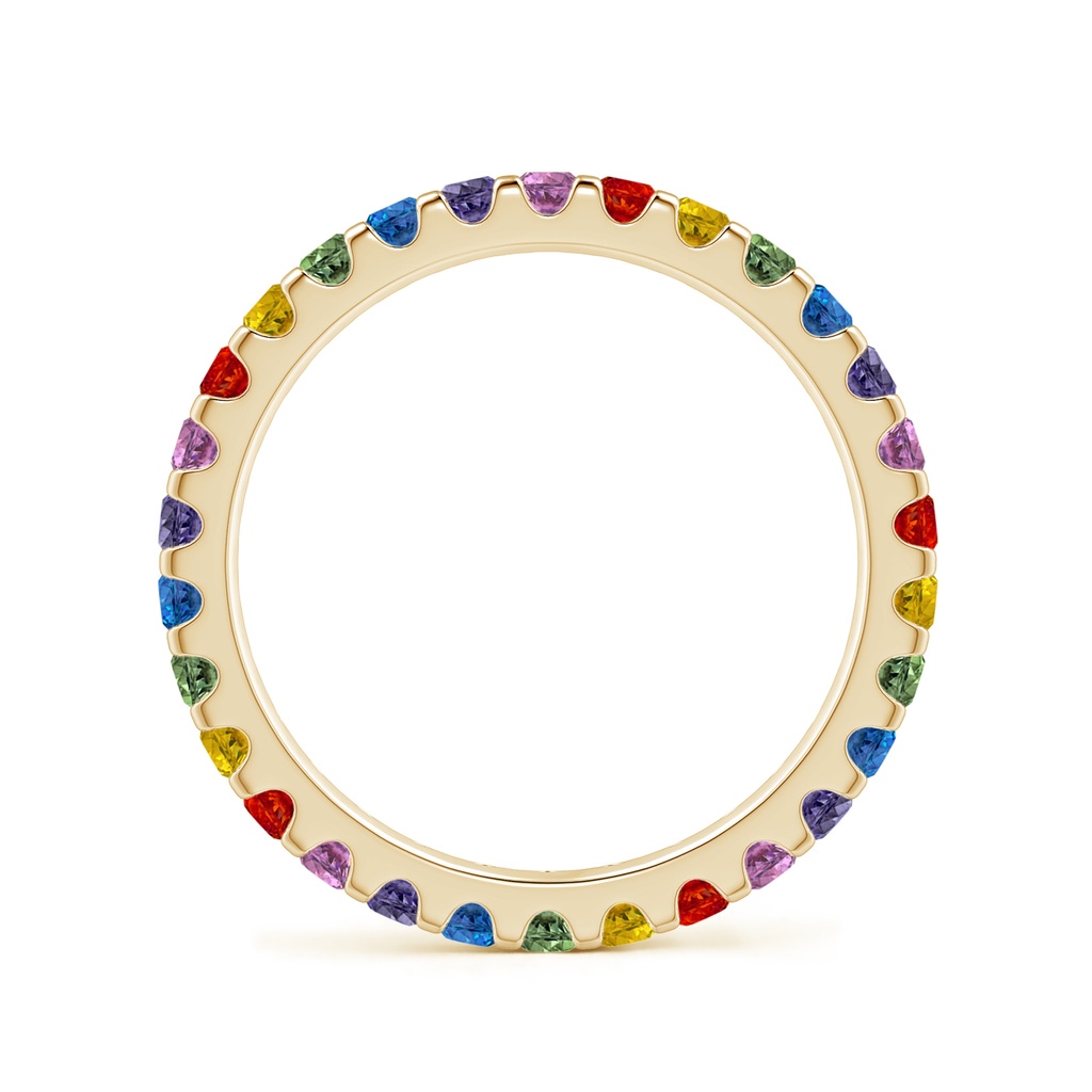 2mm AAA Spectra Prong-Set Round Multi-Sapphire Eternity Band in 60 Yellow Gold - side_1