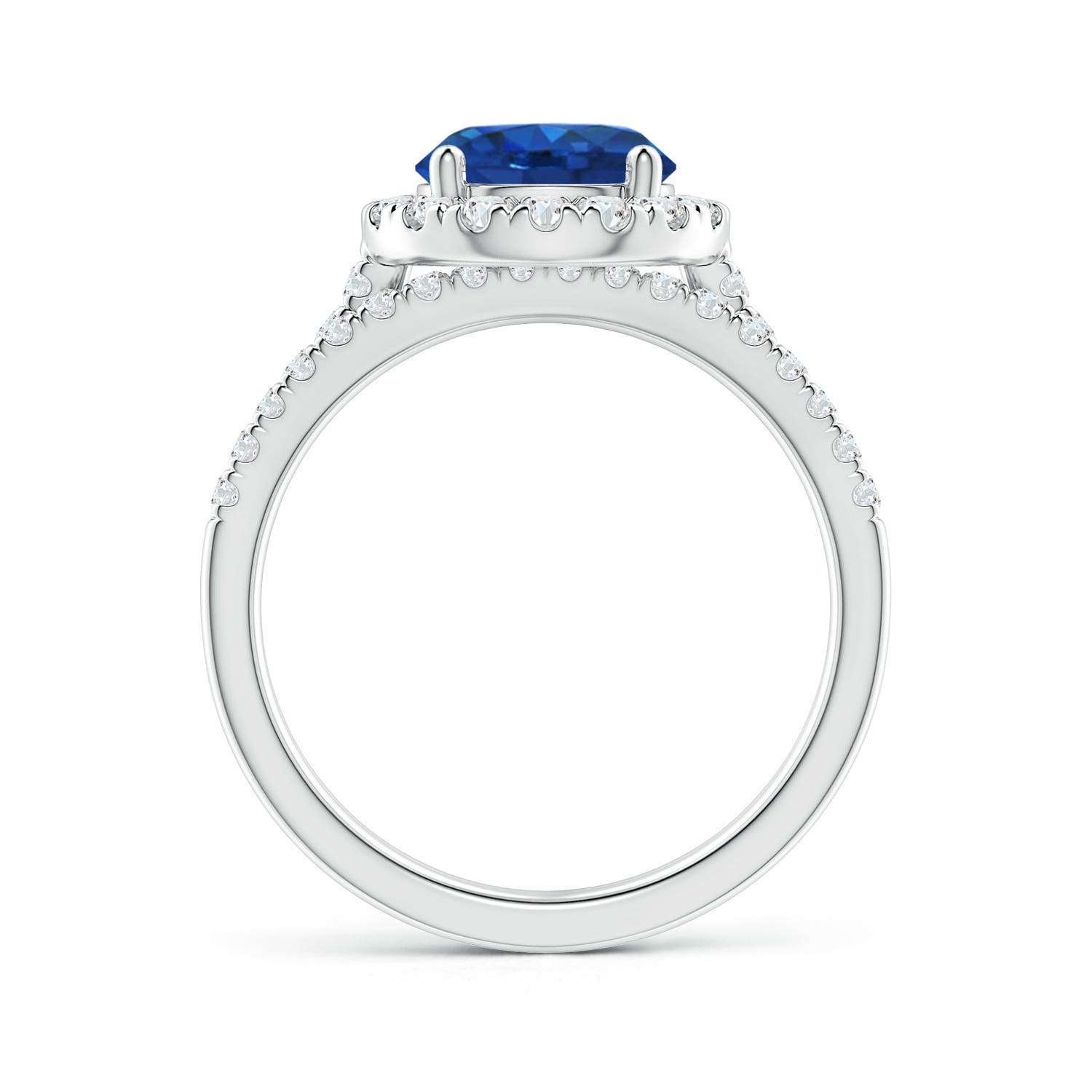 AAA - Blue Sapphire / 2.73 CT / 14 KT White Gold