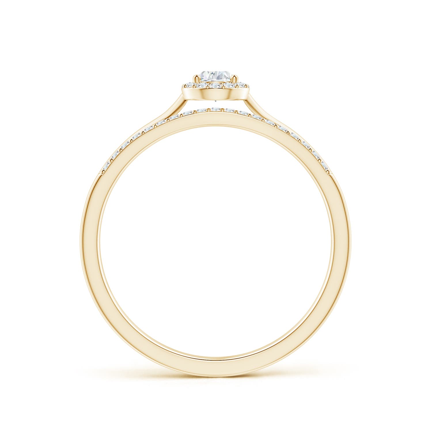 G, VS2 / 0.25 CT / 14 KT Yellow Gold