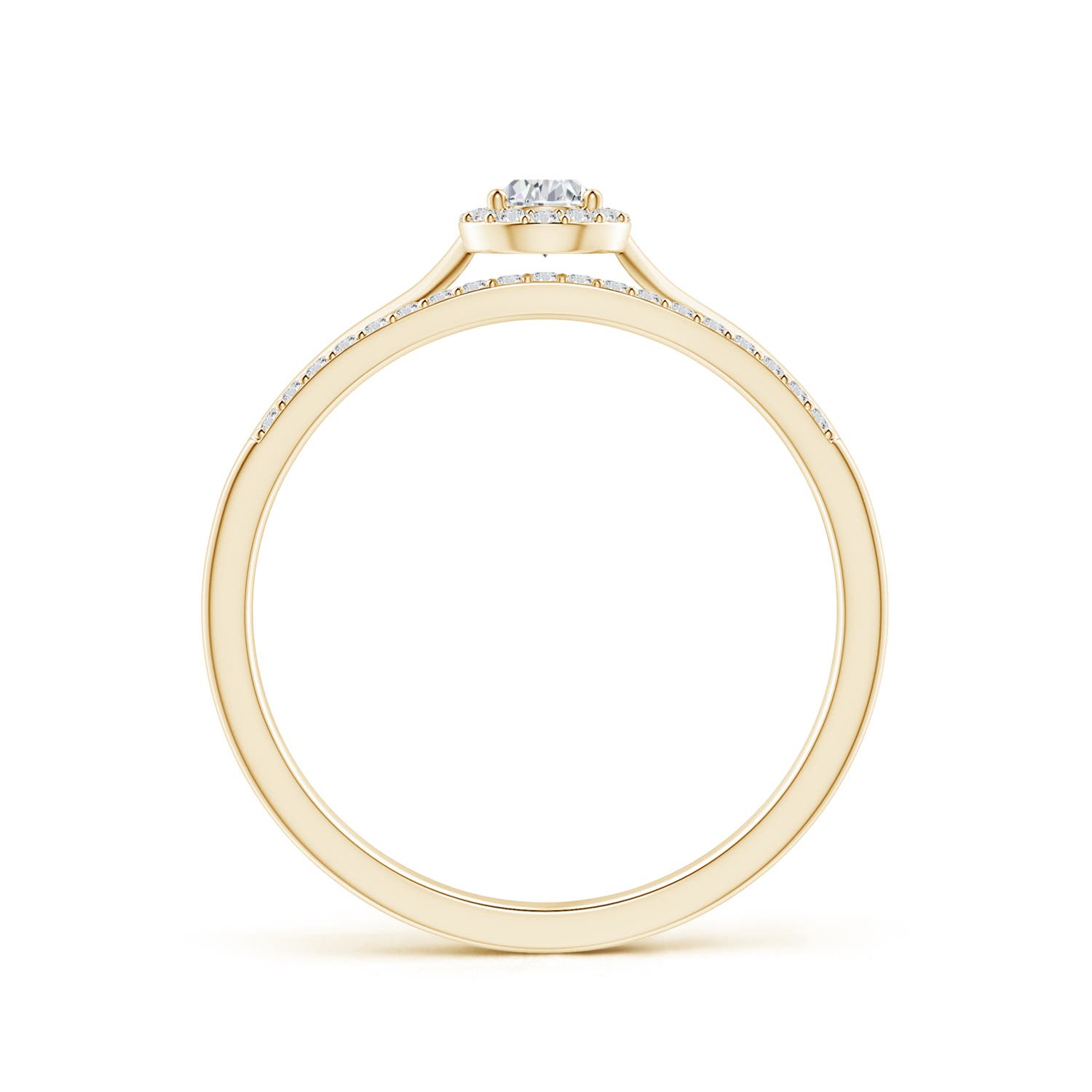 H, SI2 / 0.25 CT / 14 KT Yellow Gold