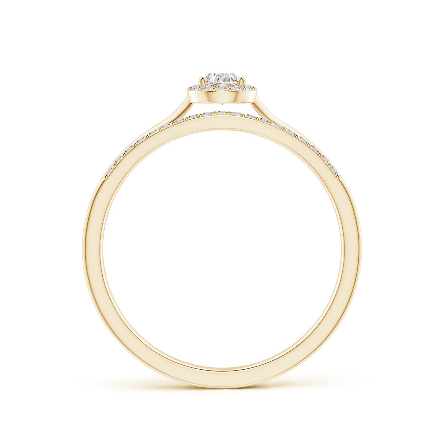 I-J, I1-I2 / 0.25 CT / 14 KT Yellow Gold