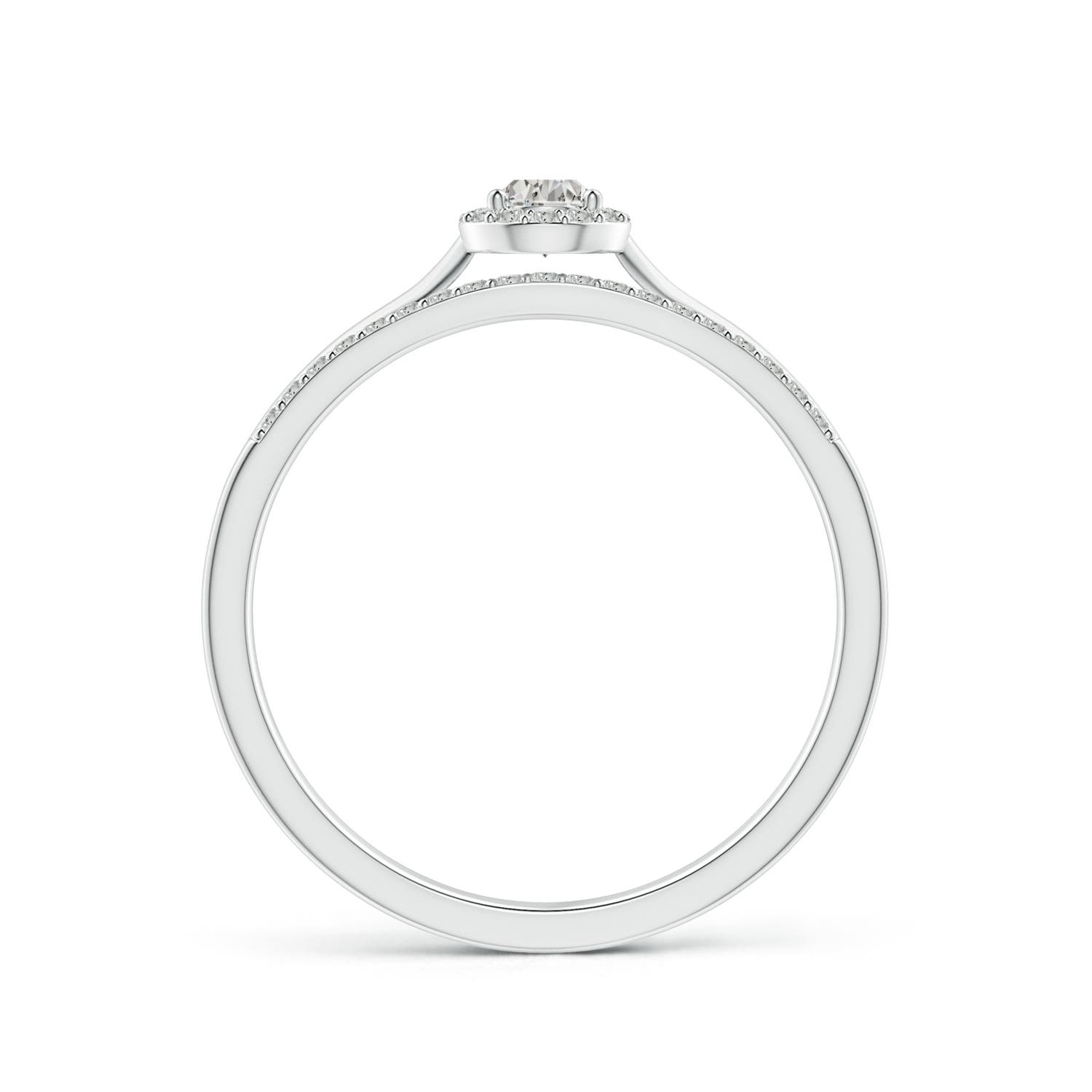 K, I3 / 0.25 CT / 14 KT White Gold