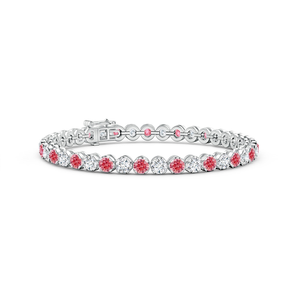 3.6mm AAAA Classic Round Fancy Intense Pink and White Diamond Tennis Bracelet in White Gold