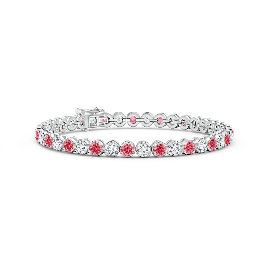 3.6mm AAAA Classic Round Fancy Intense Pink and White Diamond Tennis Bracelet in White Gold 