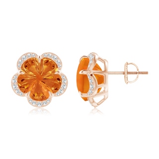 10mm AAAA Five-Petal Flower Citrine Halo Stud Earrings in Rose Gold