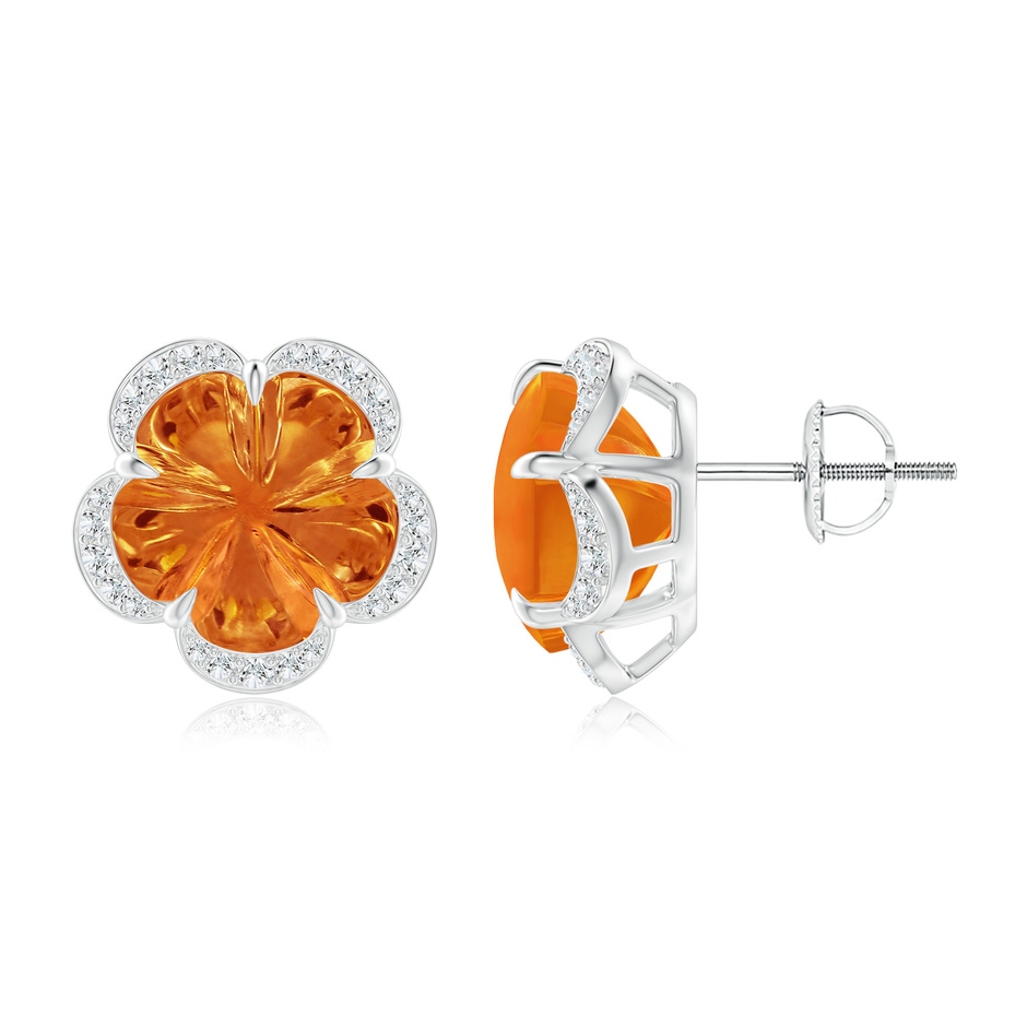 10mm AAAA Five-Petal Flower Citrine Halo Stud Earrings in White Gold 