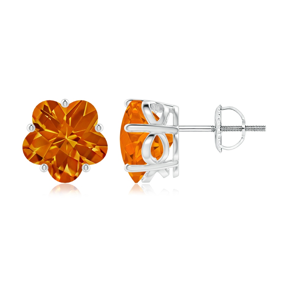 8mm AAAA Classic Five-Petal Flower Citrine Stud Earrings in White Gold 