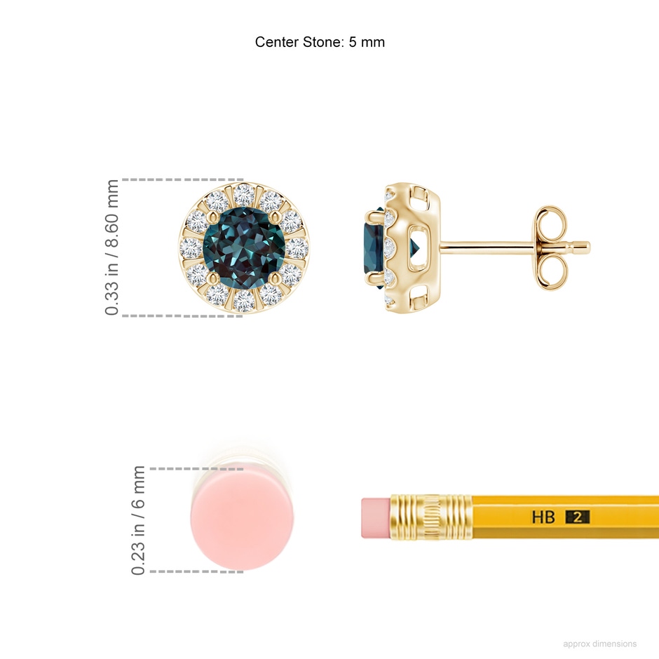5mm Labgrown Lab-Grown Alexandrite Stud Earrings with Bar-Set Diamond Halo in 18K Yellow Gold ruler