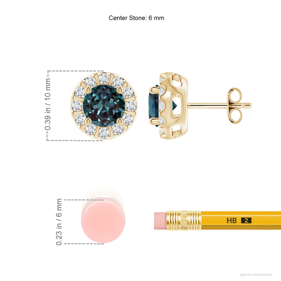 6mm Labgrown Lab-Grown Alexandrite Stud Earrings with Bar-Set Diamond Halo in Yellow Gold ruler