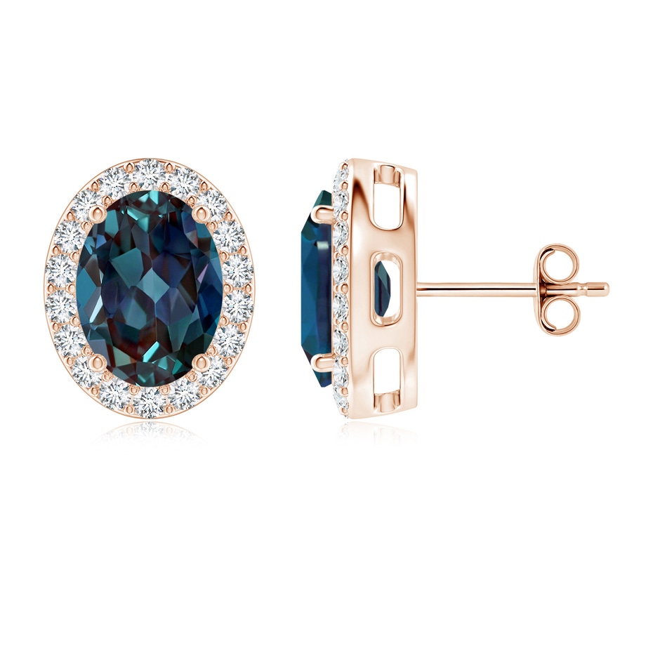 8x6mm Labgrown Oval Lab-Grown Alexandrite Studs with Diamond Halo in 18K Rose Gold 