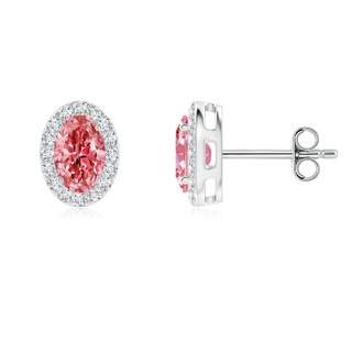 6x4mm Labgrown Oval Lab-Grown Fancy Intense Pink Diamond Studs with Halo in P950 Platinum