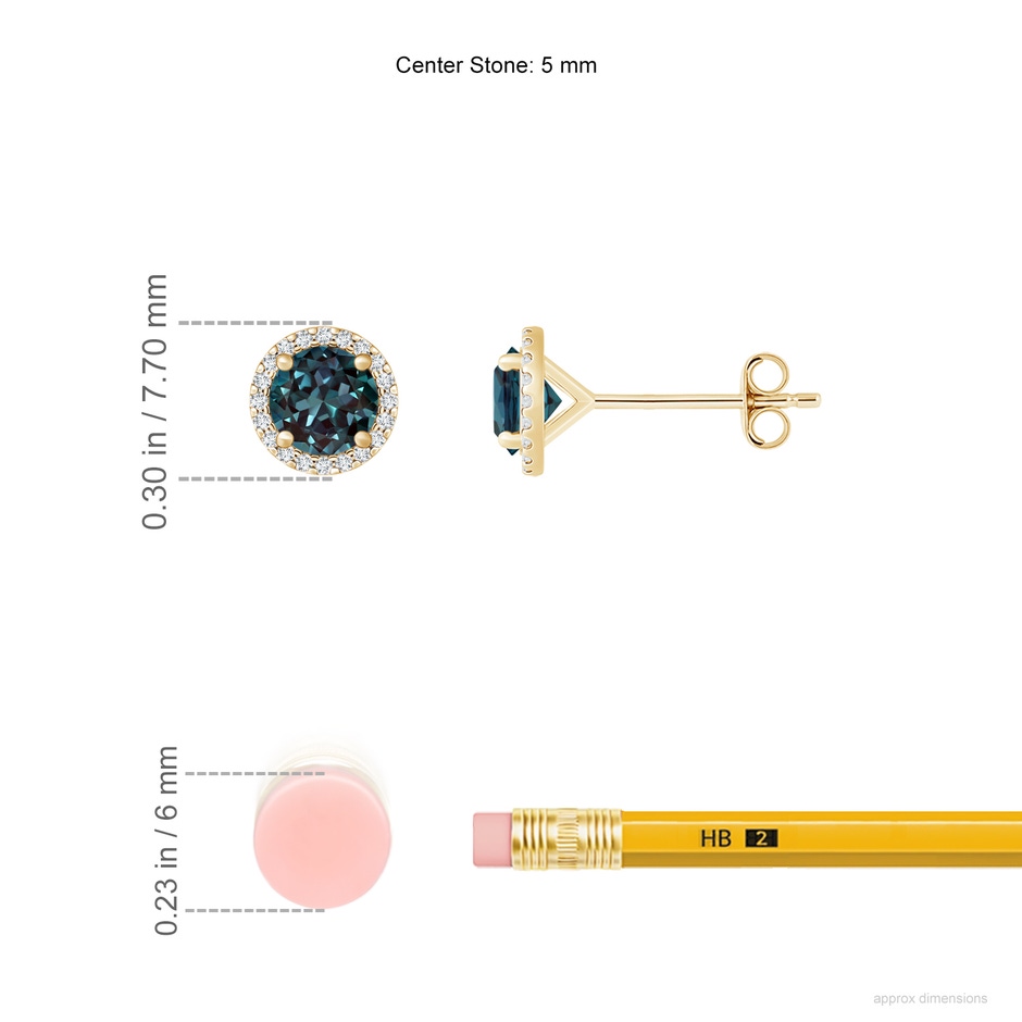 5mm Labgrown Classic Lab-Grown Alexandrite and Diamond Halo Stud Earrings in Yellow Gold ruler