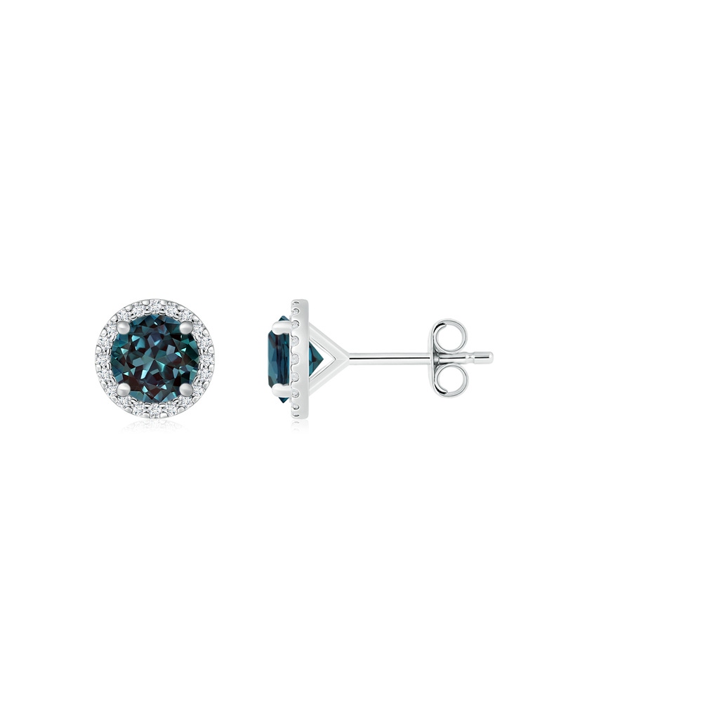 6mm Labgrown Classic Lab-Grown Alexandrite and Diamond Halo Stud Earrings in White Gold