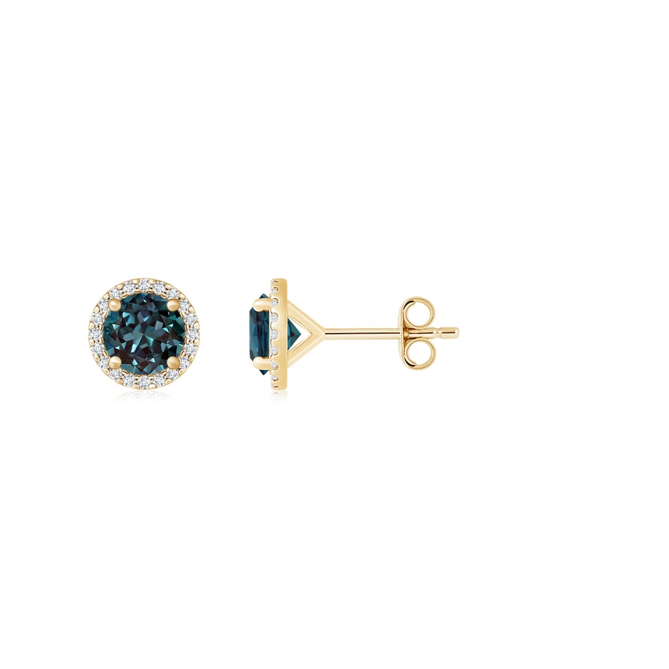 6mm Labgrown Classic Lab-Grown Alexandrite and Diamond Halo Stud Earrings in Yellow Gold 