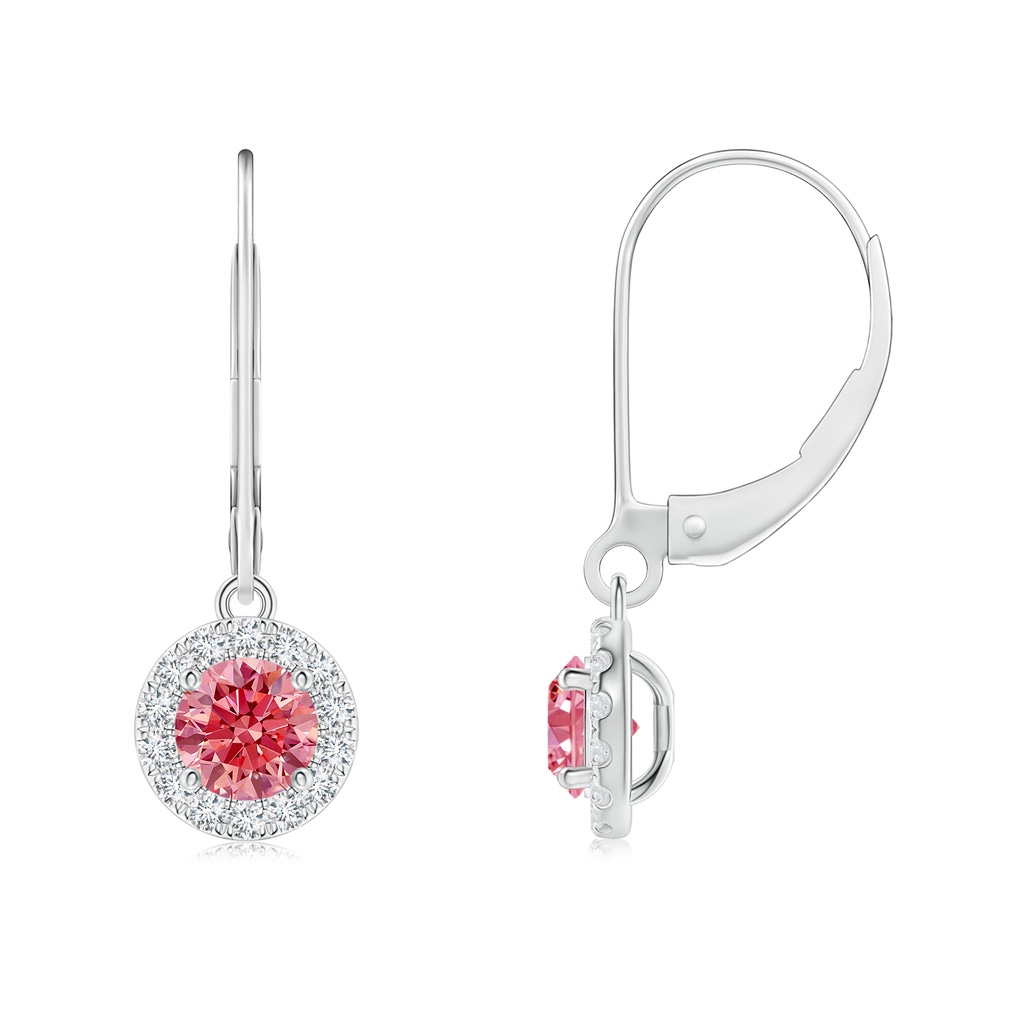 4.5mm Labgrown Round Lab-Grown Fancy Intense Pink Diamond Leverback Halo Dangle Earrings in White Gold