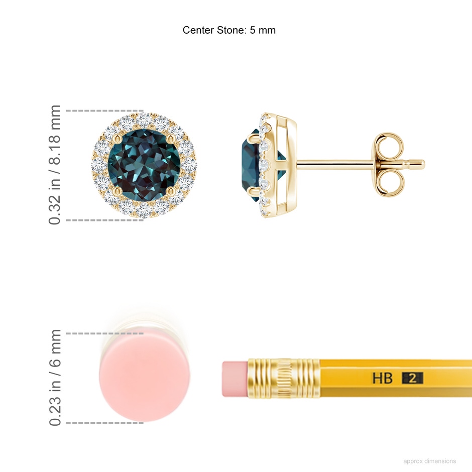 5mm Labgrown Prong-Set Lab-Grown Alexandrite and Diamond Halo Stud Earrings in Yellow Gold ruler