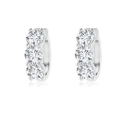 Platinum Earrings