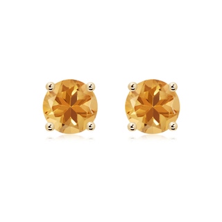 Round A Citrine