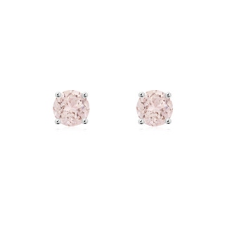 Round A Morganite
