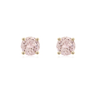Round A Morganite