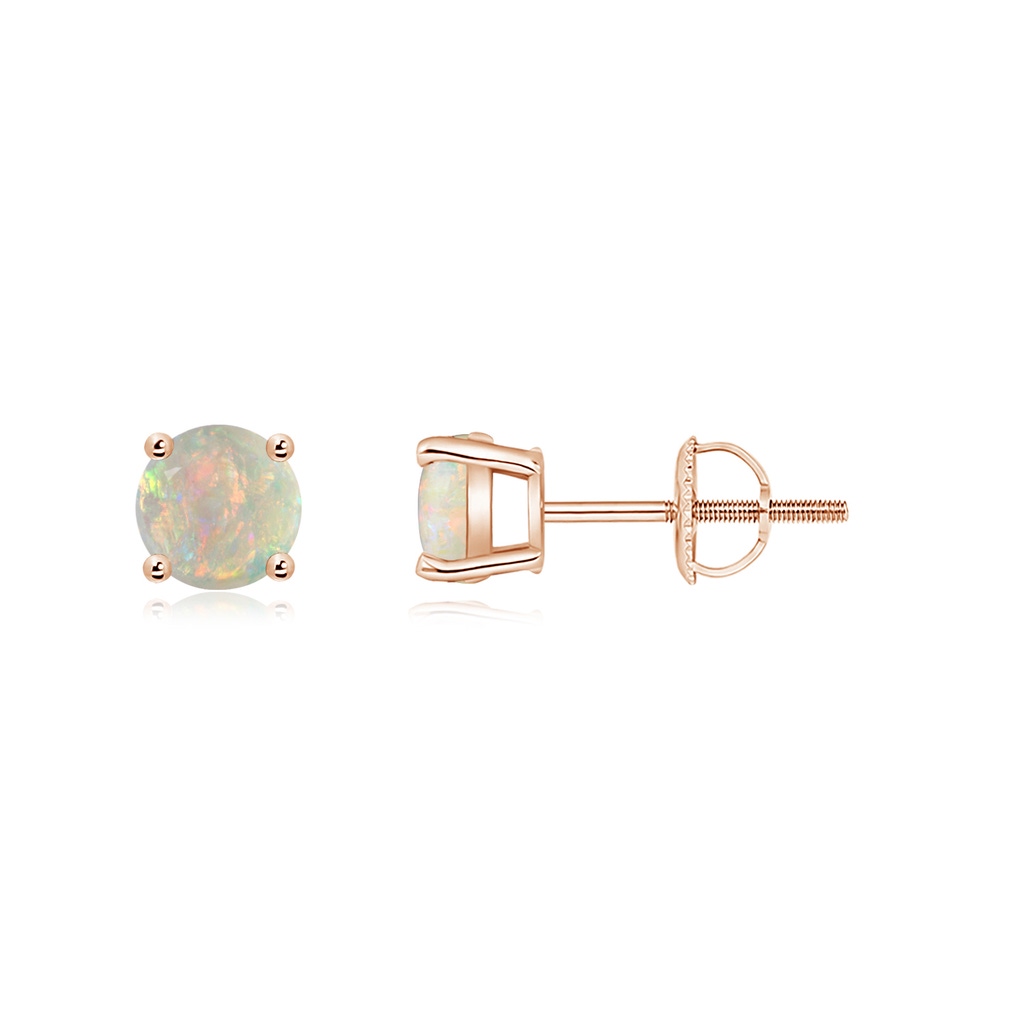 5mm AAAA Basket-Set Round Opal Studs in Rose Gold