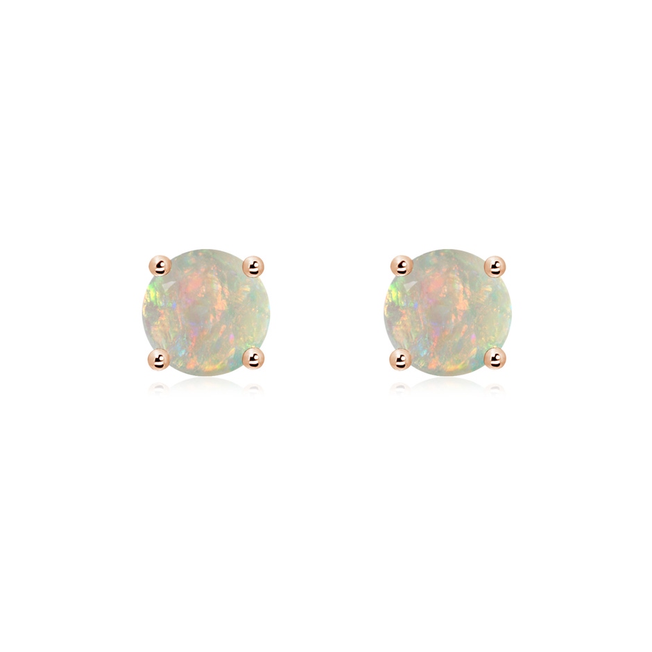 6mm AAAA Basket-Set Round Opal Studs in Rose Gold 