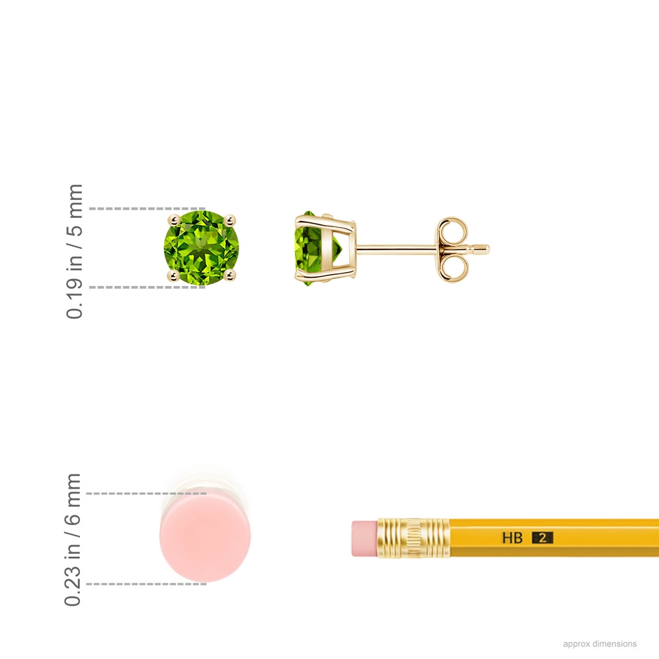 5mm AAAA Basket-Set Round Peridot Studs in 18K Yellow Gold ruler