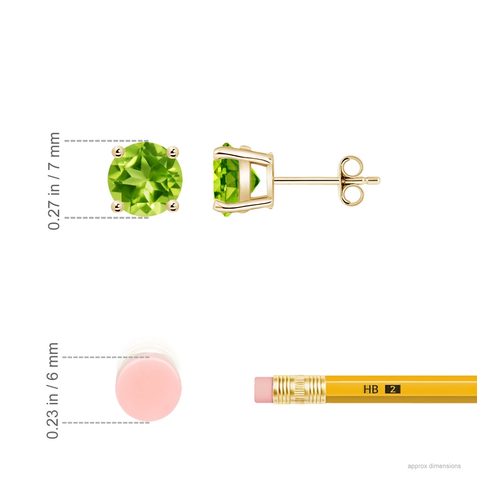 7mm AAA Basket-Set Round Peridot Studs in 18K Yellow Gold ruler