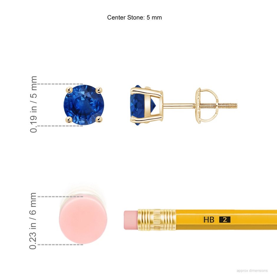 5mm AAA Basket-Set Round Blue Sapphire Studs in Yellow Gold ruler