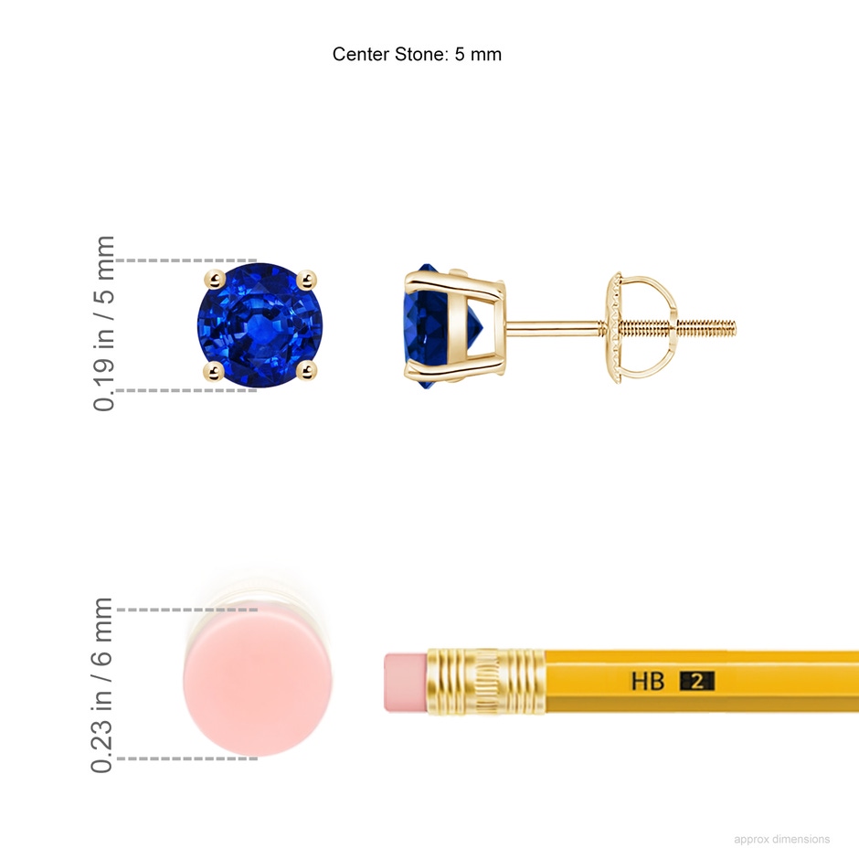 5mm AAAA Basket-Set Round Blue Sapphire Studs in Yellow Gold ruler