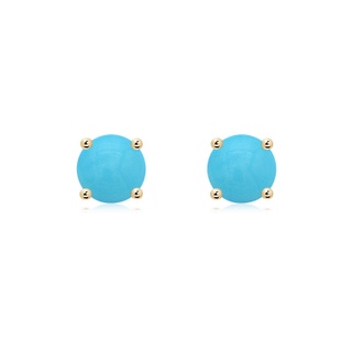 Round AA Turquoise