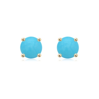 Round AA Turquoise