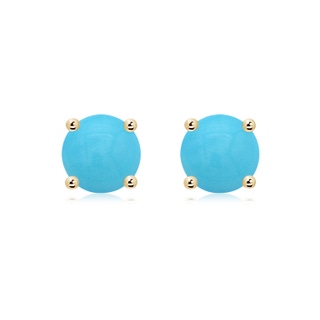Round AA Turquoise