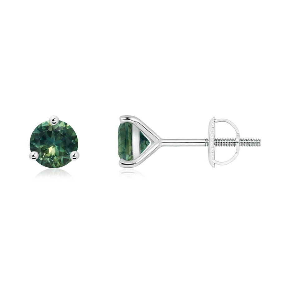 5mm AA Martini-Set Round Teal Montana Sapphire Stud Earrings in P950 Platinum 