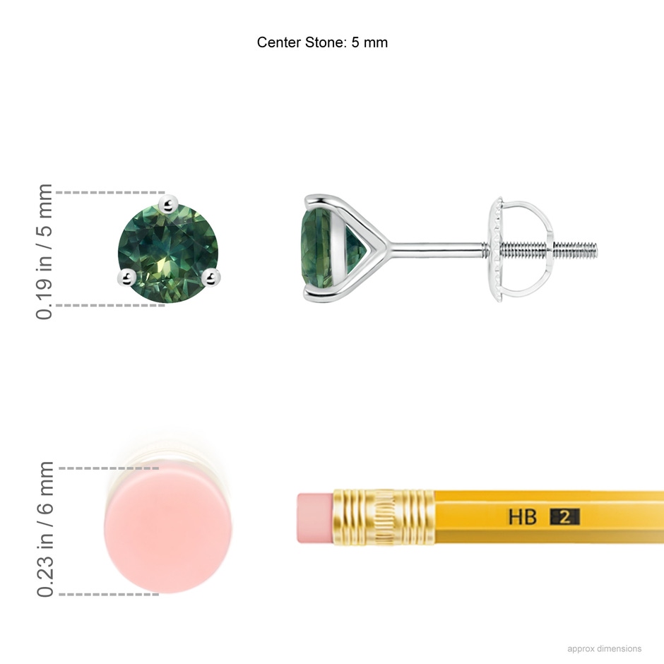 5mm AA Martini-Set Round Teal Montana Sapphire Stud Earrings in P950 Platinum ruler