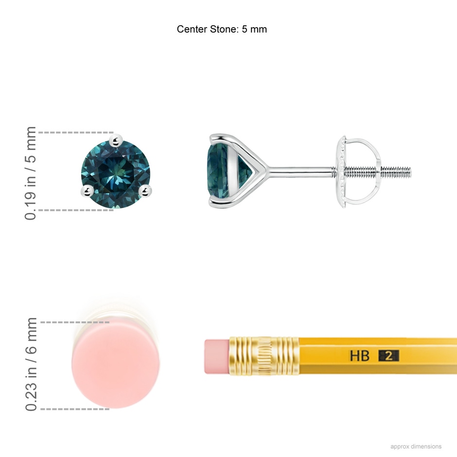5mm AAA Martini-Set Round Teal Montana Sapphire Stud Earrings in P950 Platinum ruler