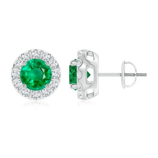 6mm AAA Emerald Stud Earrings with Bar-Set Diamond Halo in P950 Platinum