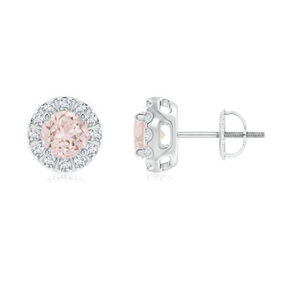 Round A Morganite