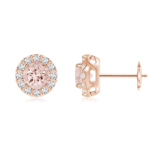 5mm AA Morganite Stud Earrings with Bar-Set Diamond Halo in Rose Gold