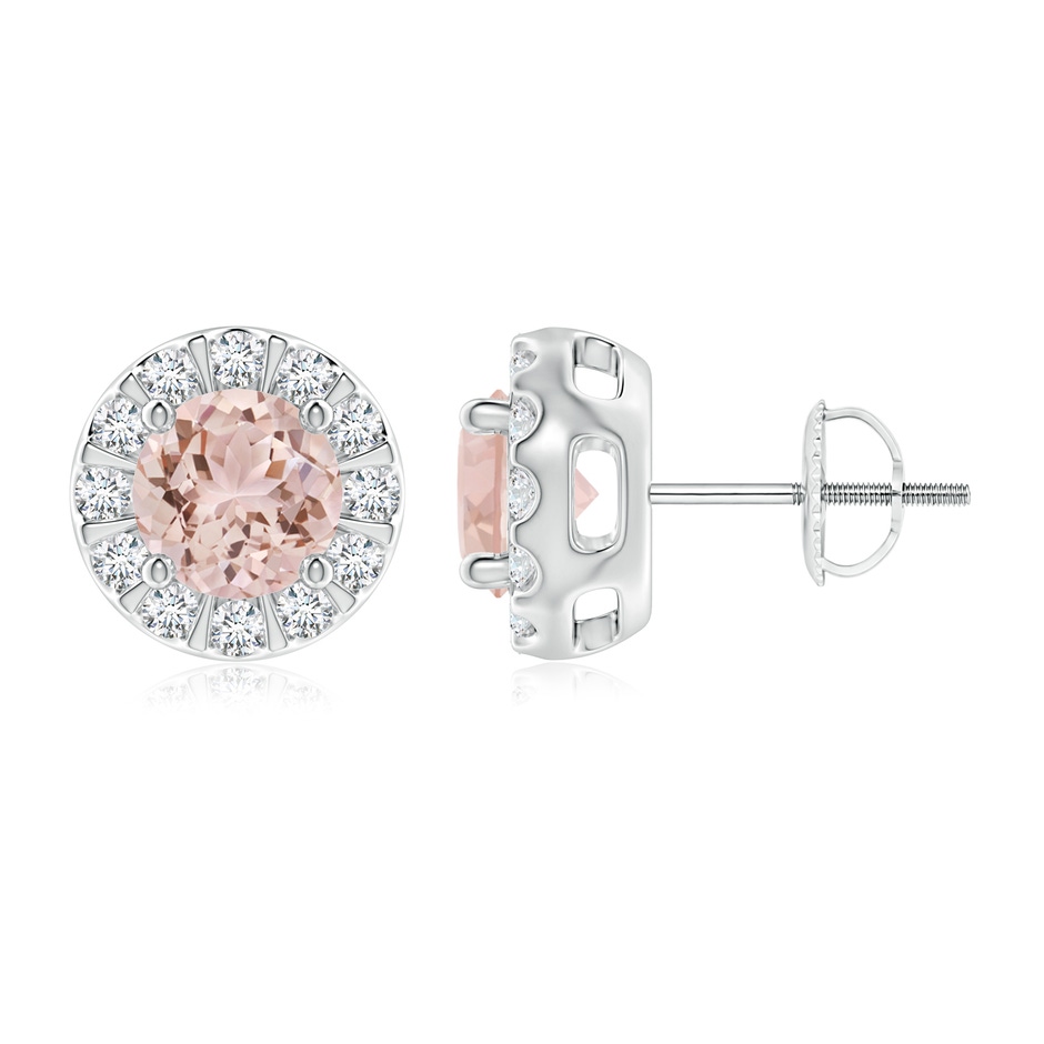 6mm AAA Morganite Stud Earrings with Bar-Set Diamond Halo in P950 Platinum 