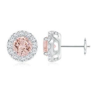 6mm AAA Morganite Stud Earrings with Bar-Set Diamond Halo in White Gold