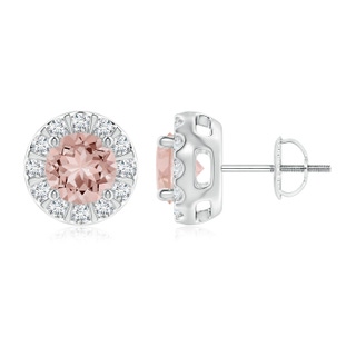 6mm AAAA Morganite Stud Earrings with Bar-Set Diamond Halo in P950 Platinum