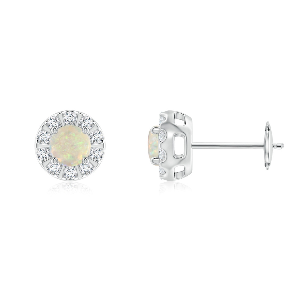 4mm AAA Opal Stud Earrings with Bar-Set Diamond Halo in White Gold