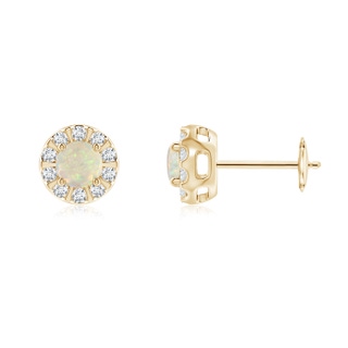 4mm AAA Opal Stud Earrings with Bar-Set Diamond Halo in Yellow Gold