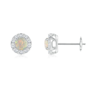 4mm AAAA Opal Stud Earrings with Bar-Set Diamond Halo in White Gold