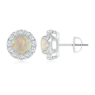6mm AAAA Opal Stud Earrings with Bar-Set Diamond Halo in P950 Platinum