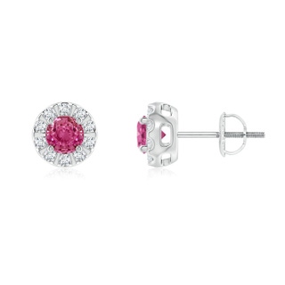 4mm AAAA Pink Sapphire Stud Earrings with Bar-Set Diamond Halo in P950 Platinum