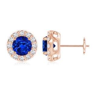 6mm AAAA Blue Sapphire Stud Earrings with Bar-Set Diamond Halo in Rose Gold